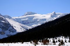 51 Mount Olive Saint Nicholas Peak, Wapta Icefield From Just After Num-Ti-Jah Lodge On Icefields Parkway.jpg